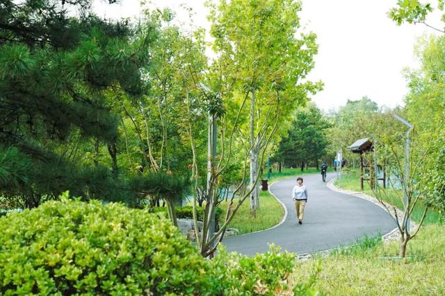 家门口的“诗与远方”！石景山这个宝藏公园更新开放