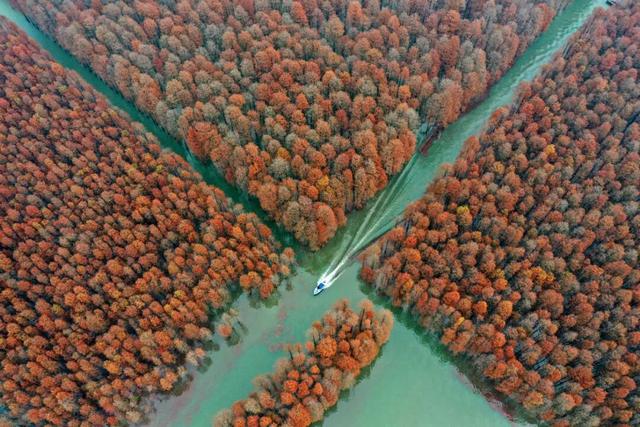这些地方，把“吃”写成了姓名