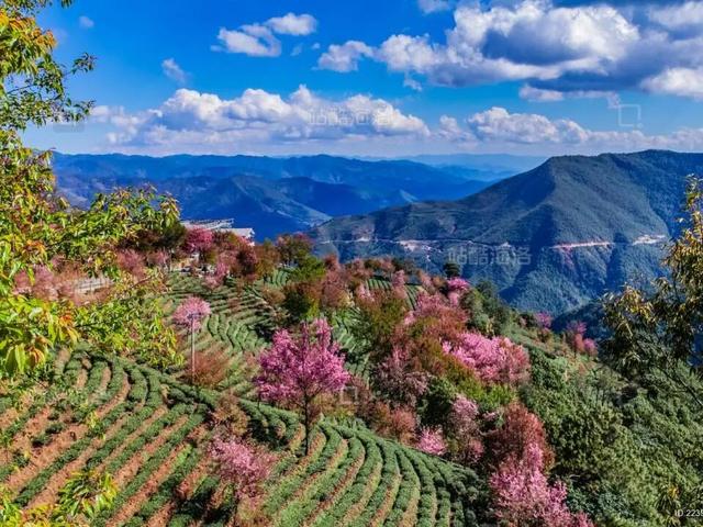 大理+滇西5县深度游！10条主题线覆盖非遗、古镇、美食、康养，这篇攻略直接抄作业