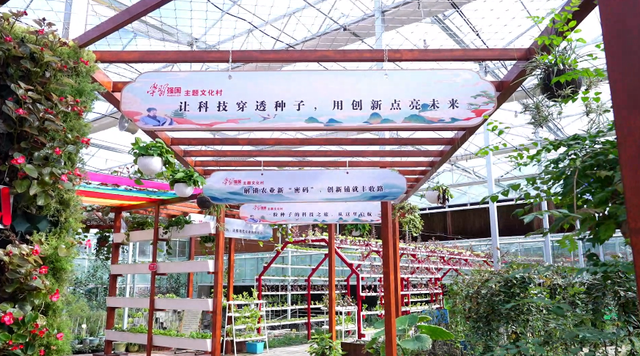略阳事 | 沉浸式浏览！略阳“学习强国”主题文化村究竟藏着哪些宝藏？