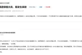 有回音 ｜ 道路绿植过高存在安全隐患 四川成都：5月底前完成整改图片