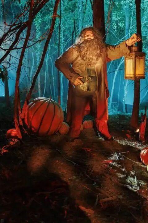 哈迷集合！全国首家“哈利·波特：禁林体验”门票免费送