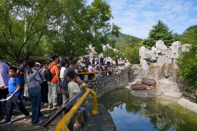 这里是青岛｜“走”热新区秋季文旅市场！2025青岛西海岸山野生活节解锁“沉浸式体验+山野徒步”新玩法