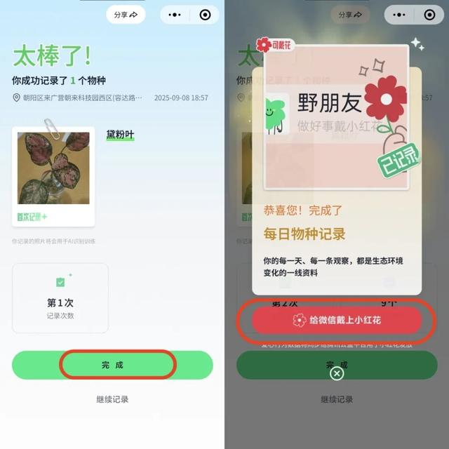 活动报名｜北京公园自然观察季 9.9-9.14多场活动招募