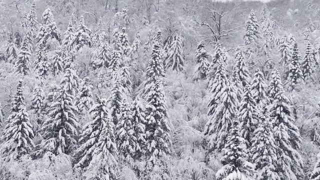 “雪蘑菇”是怎么形成的你了解吗？解码雪乡独特魅力
