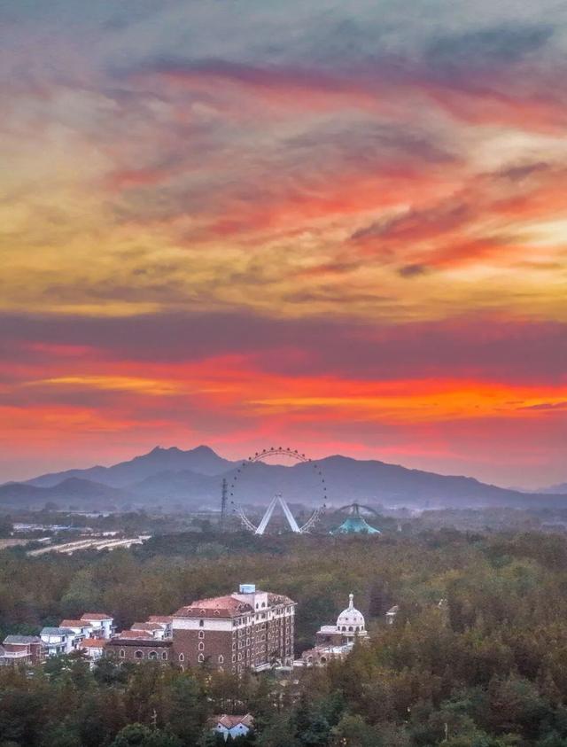 这片焦糖色的“童话森林”，美得藏不住了！