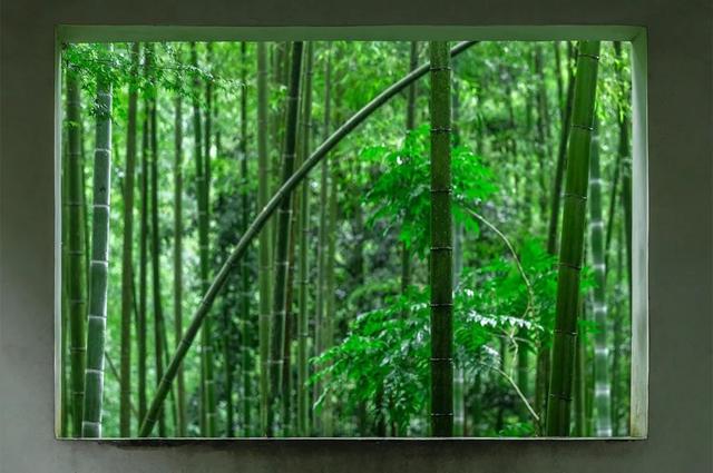 速点！给你视觉降温
