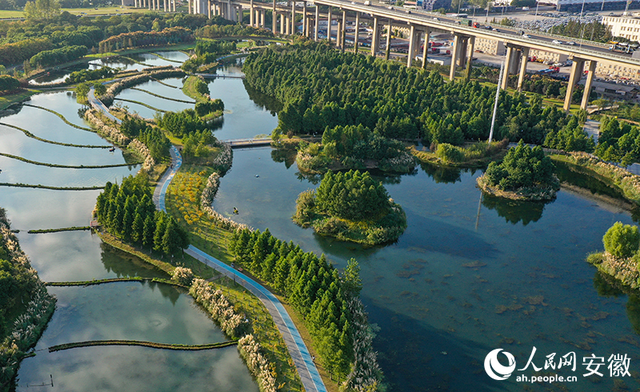 芜湖朱家桥尾水净化生态公园：有“颜”更有“料”