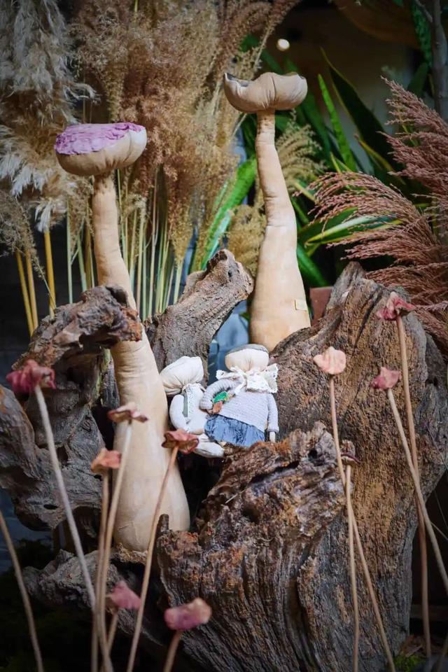 来东城这个胡同小院，邂逅蘑菇精灵的童话秘境——