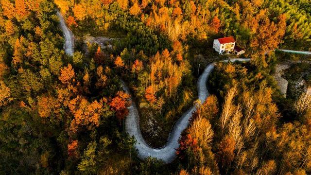 英山冷家山村：红叶漫山醉游人 生态美景引客来