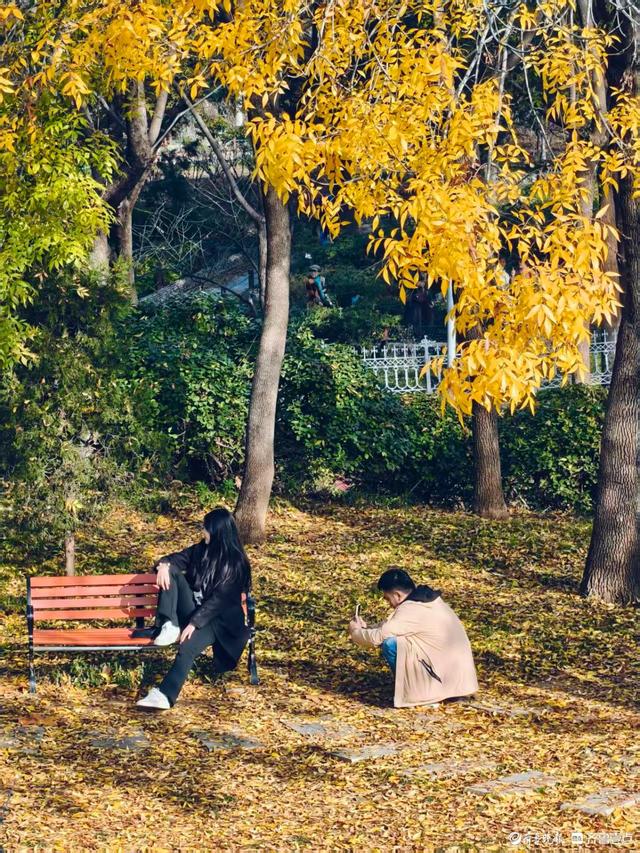 秋高气爽，金色泉城公园