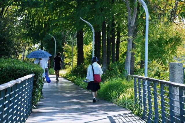 四季流转，青浦这座公园的颜值从来不掉线！