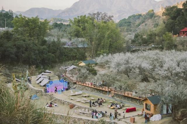 赏梅直奔福州这里，这片“雪海”太惊艳了！