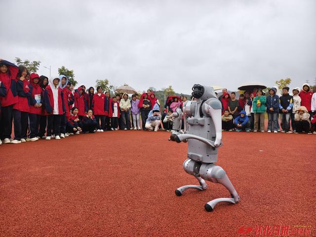 市科技馆科普小分队：科技赋能成长科普点亮童心