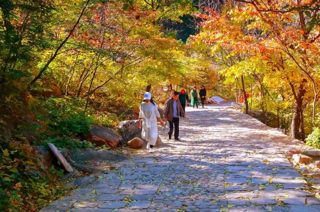 九九重阳，梨木台邀您共赴一场秋日敬老之约