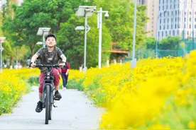 阜阳颍河风景带“金色花海”已上线图片