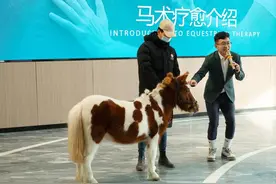 马术疗愈为“星星的孩子”带去温暖：孩子们学会主动沟通和分享图片