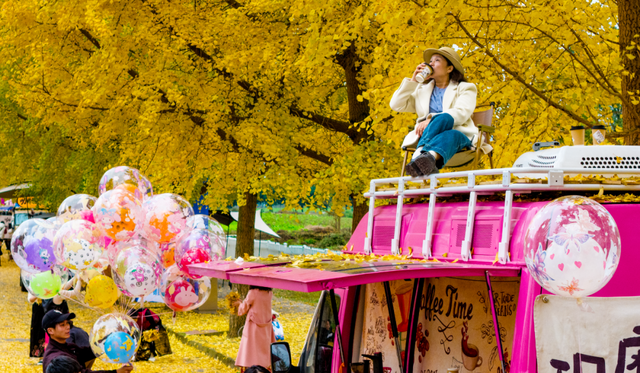 落叶缓扫，诗意长留！彭州的秋天被“绣”在了大地上