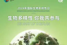 生物多样性｜2024年国际生物多样性日宣传海报发布图片
