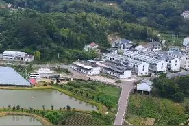 大闸蟹“横行”大别山图片