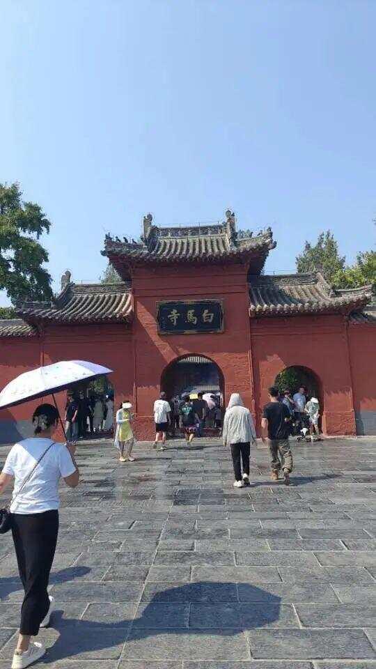 洛阳白马寺僧人顶着38度高温种地