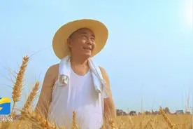 粮安天下 种筑基石——山农大微电影《风吹麦浪》正式发布图片