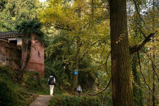 不上班，就上山！