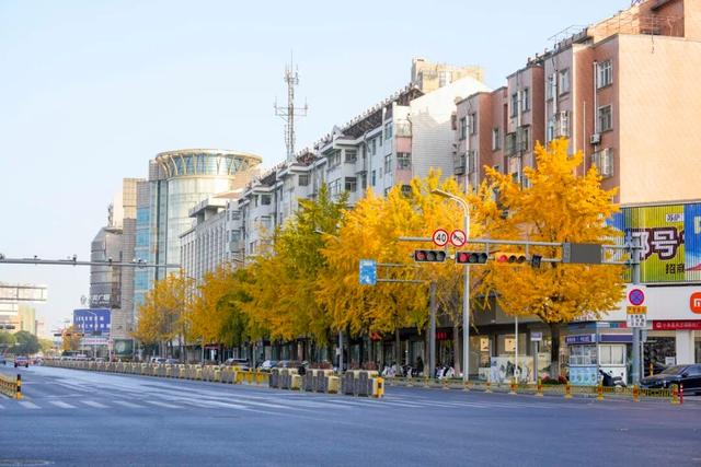 出片率100%！海陵“含金量”在上升！