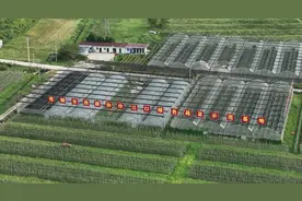 东莞·铜仁持续深化东西部协作图片