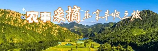 2025河北承德活力金秋旅游季｜5条全域精品旅游线路，解锁塞外金秋新玩法。