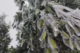 广东“尔滨”体验卡即将到期，今起缓慢回温！将开启降水模式图片