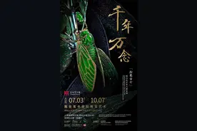 是它！上海博物馆有史以来颜值最高的展览图片