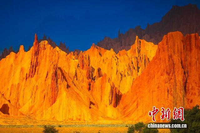 【砥砺奋进七十载 天山南北谱华章】阿克苏：新疆“甜心” 红到满屏热烈