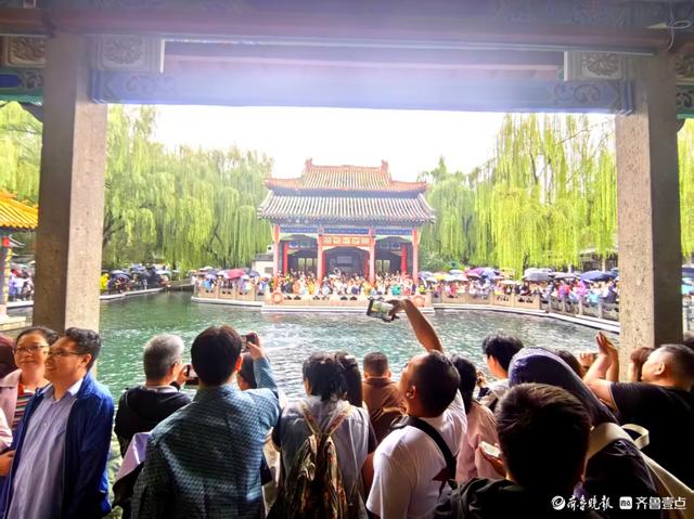 双节拍 | 雨中趵突泉，花伞簇泉人头攒动