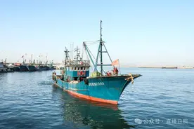 35元左右/斤！码头上都在抢着买！在日照开始上市！图片