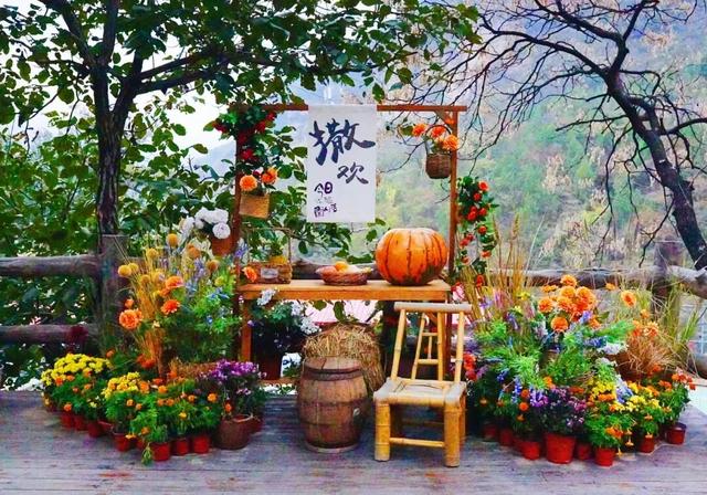 太美了！北京这里的“漫山红叶”推窗即揽！（文末送福利）