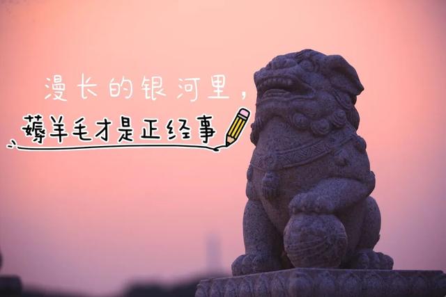 青春没有售价！通知书可抵票价~