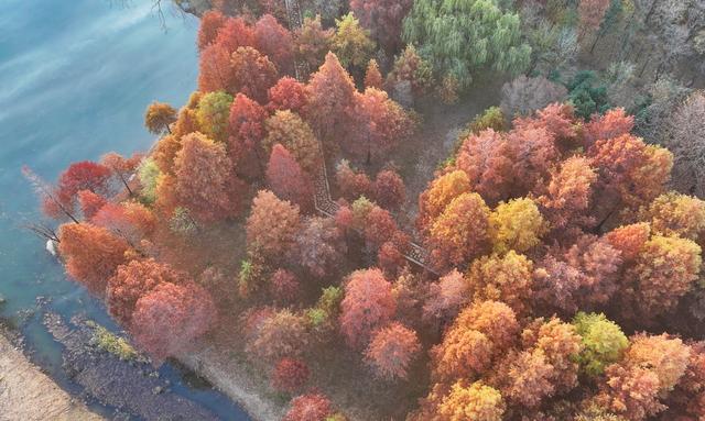 江苏东海：湿地公园冬景绚丽