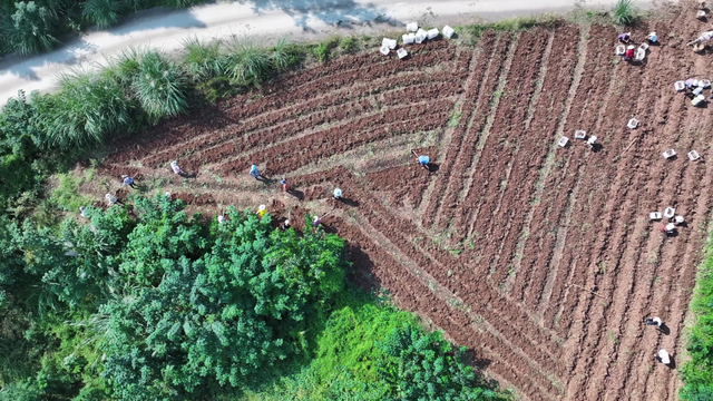 遇见西充，更遇见你！《慕・遇西充》公众号正式上线