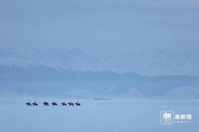 “她的电话，许多牧民都存着”！老同事追忆贺娇龙：她很拼；70多岁母亲最新发声：让她静静地离开