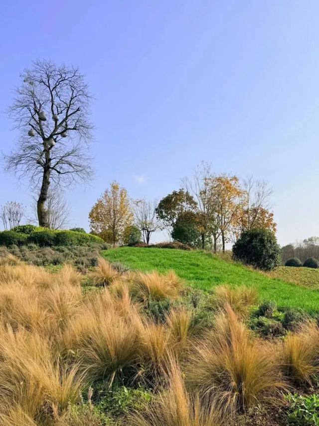 西安出发1h！这4个宝藏农场！