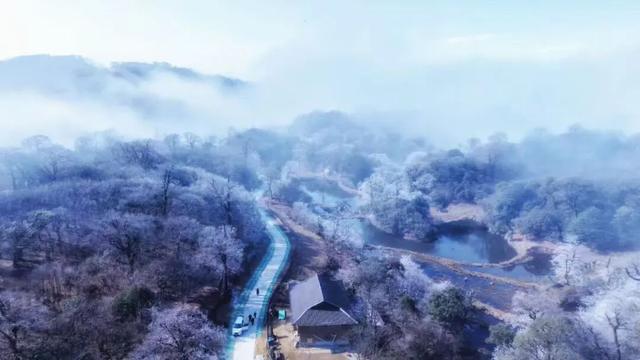 多图直击融水雾凇美景