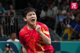 第17金！樊振东，男单冠军！实现个人大满贯图片