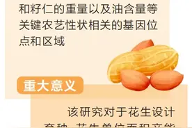 张新友院士团队发表重要研究成果 破解花生基因密码有了新发现图片
