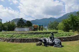 媒体采风团看温州如何按下绿色发展“加速键”图片
