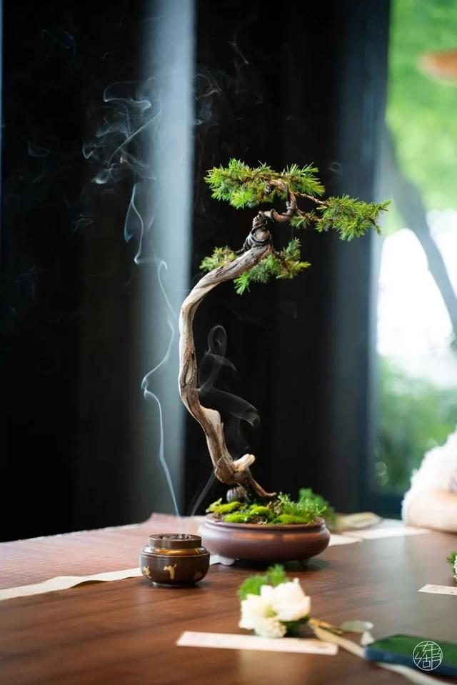 天黑不打烊，来东湖来过夜生活！