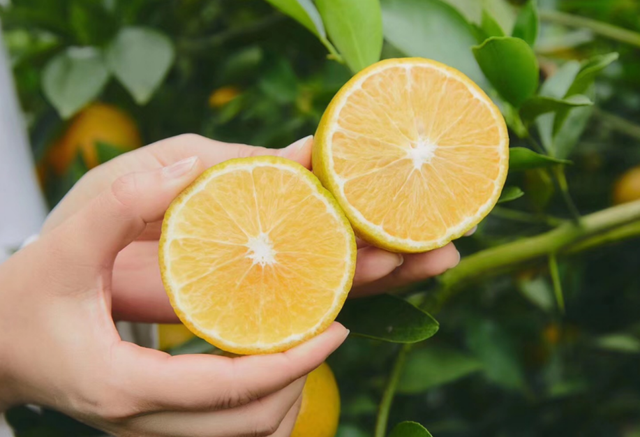 提到家乡韶关，张颂文就是那么“傲娇”！