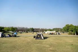 浦江郊野公园这些区域可以搭帐篷，点位信息看过来图片