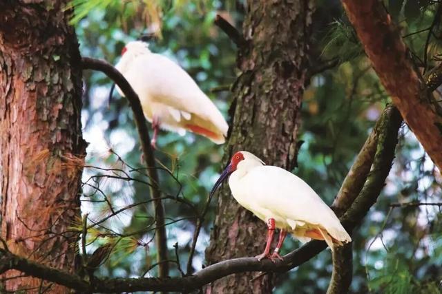 从这里，重新认识南山国家公园！央视《远方的家》山重水复，秘境逢生！