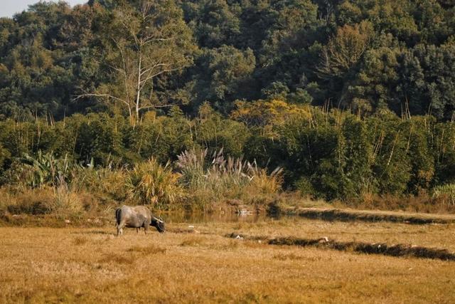 周末露营天花板，来福安“野” 一天！